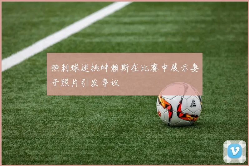 热刺球迷挑衅赖斯在比赛中展示妻子照片引发争议