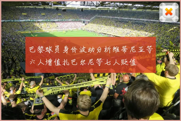 巴黎球员身价波动分析维蒂尼亚等六人增值扎巴尔尼等七人贬值