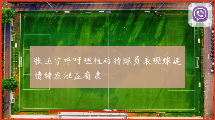张玉宁呼吁理性对待球员表现球迷情绪发泄应有度