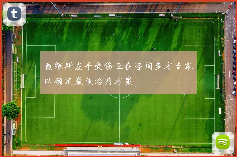 戴维斯左手受伤正在咨询多方专家以确定最佳治疗方案